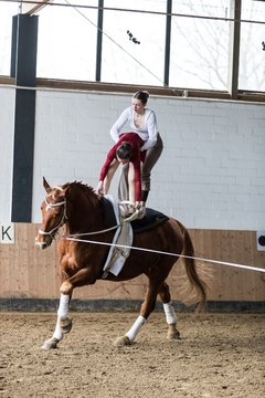 Bild 525 - Voltigierturnier